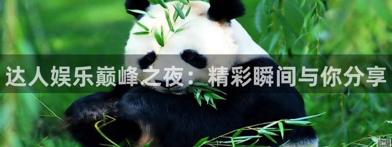 新时代广场：达人娱乐巅峰之夜：精彩瞬间与你分享